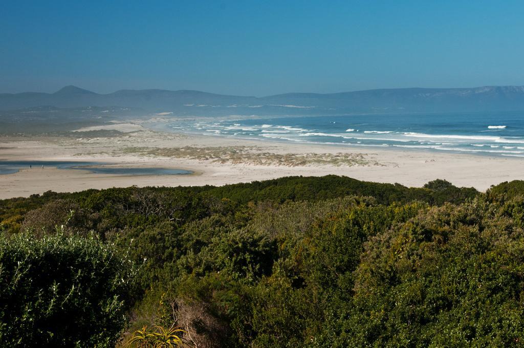 Mosselberg On Grotto Beach Hermanus Exteriér fotografie